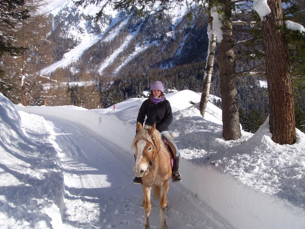 Apartment Valdisole Ossana Szoba fotó